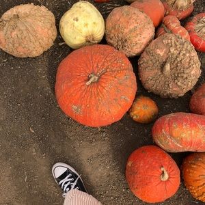 Meet your Posher, Grace